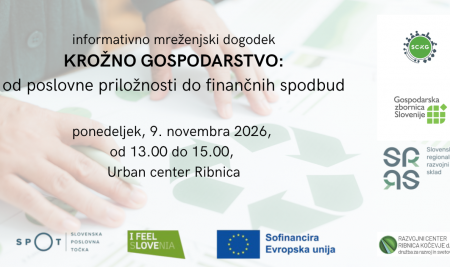 KROŽNO GOSPODARSTVO: od poslovne priložnosti do finančnih spodbud